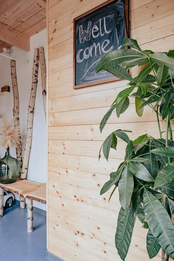 Hostel Oder Ferienwohnung 1-16 Personen Im Blauen Haus Фемарн Екстер'єр фото